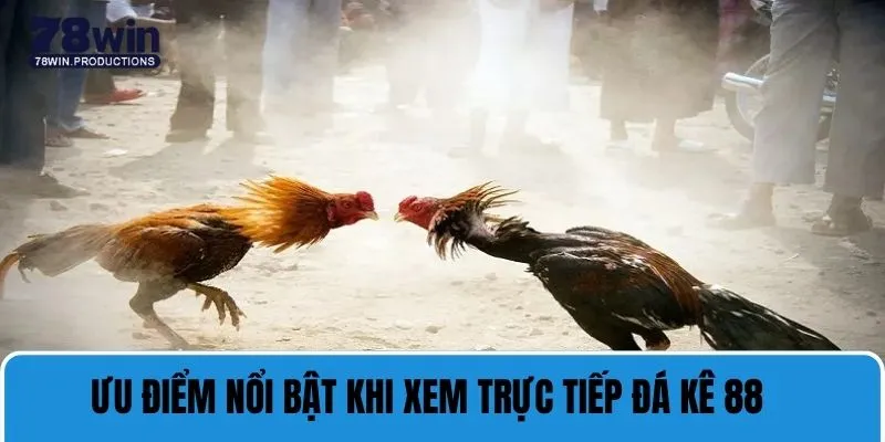 Trực Tiếp Đá Gà 88 - Trải Nghiệm Chất Lượng Cá Cược Đỉnh Cao 7 Ưu điểm nổi bật khi xem trực tiếp đá gà 88